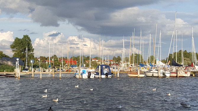 Ferienwohnung in Rerik - Villa Rerik - Bild 19