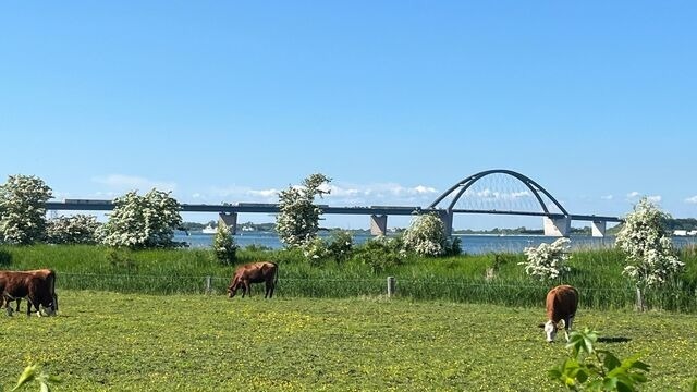 Ferienwohnung in Gro&szlig;enbrode - Ferienwohnung Meeresblick - Bild 20