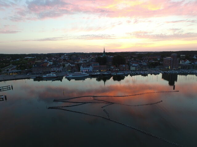 Ferienwohnung in Rabenkirchen-Faul&uuml;ck - Schleiblick App. 6 - Bild 10