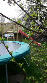 Ferienwohnung in Fehmarn OT Petersdorf - Gästehaus Nielson, Terrassenwohnung Sommerwind mit Garten - Bild 9