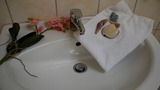 Ferienwohnung in Fehmarn OT Burg - "Landhäuschen" Bungalow-Ferienwohnung - Bild 13