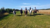 Ferienwohnung in Fehmarn OT Vadersdorf - RosenG&auml;rtchen - Bild 18