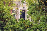 Ferienwohnung in Fehmarn OT Vadersdorf - RosenG&auml;rtchen - Bild 22
