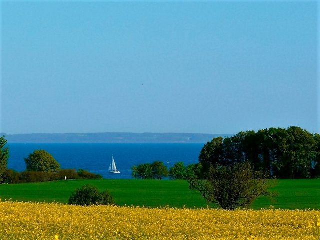 Ferienwohnung in Grömitz - Ferienhaus Marina II - Whg. 3 - Bild 18