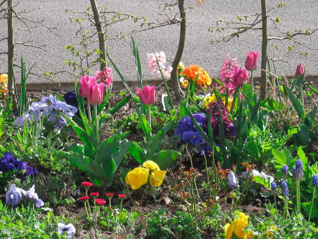Ferienwohnung in Gr&ouml;mitz - "Das kleine Strandgl&uuml;ck" - Bild 11