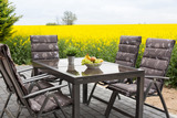Ferienhaus in Fehmarn OT Gammendorf - Feriendomizil SeeSand - S&uuml;dterrasse mit freiem Feldblick
