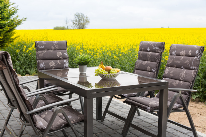 Ferienhaus in Fehmarn OT Gammendorf - Feriendomizil SeeSand - S&uuml;dterrasse mit freiem Feldblick