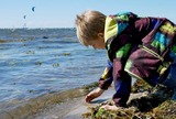 Ferienwohnung in Fehmarn - Knusthof Lafrenz - West - Bild 14