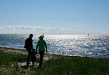 Ferienwohnung in Fehmarn - Knusthof Lafrenz - Südwest - Bild 9