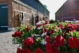 Ferienwohnung in Fehmarn - Knusthof Lafrenz - Südwest - Bild 13