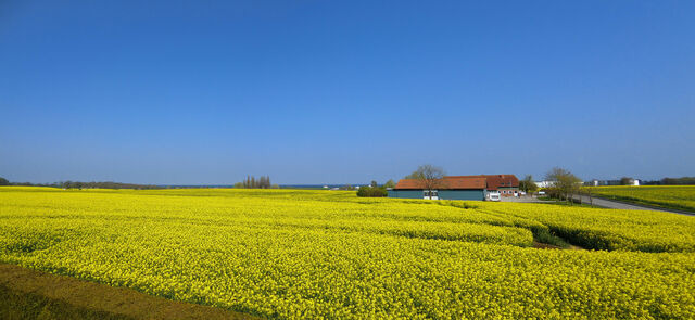 Ferienwohnung in S&uuml;ssau - Wiese - Bild 20
