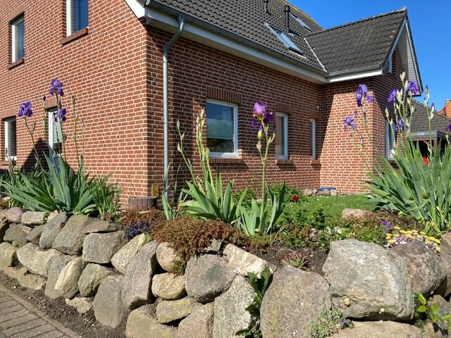 Ferienwohnung in Fehmarn OT Burg - Aplysia - Bild 2