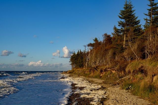 Ferienwohnung in Graal-M&uuml;ritz - Kornblume - Bild 19