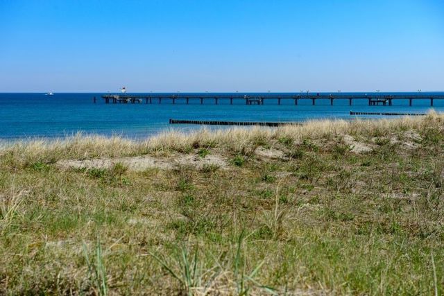 Ferienwohnung in Graal-M&uuml;ritz - Kornblume - Bild 25