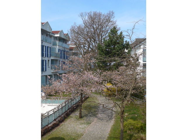 Ferienwohnung in Ostseeheilbad Zingst - Am Kurhaus 508 - Ostsee-Lug, PP am Bernsteinhaus - Bild 15