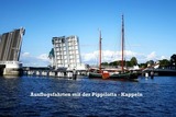 Ferienhaus in Kappeln - Schleibungalow Nr.15 zw. Ostsee und Schlei - Bild 22