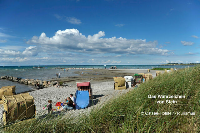 Ferienwohnung in Stein - Whg. Strandl&auml;ufer- Haus Nordlichter - Bild 14