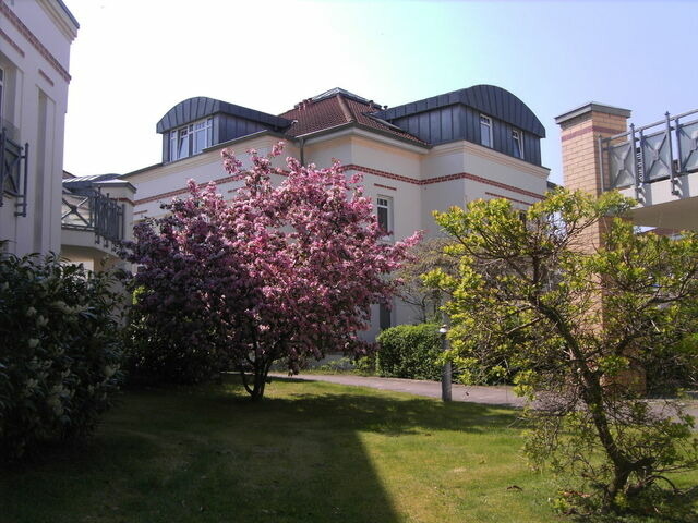 Ferienwohnung in Ostseeheilbad Zingst - Residenz "Am Postplatz", Villa Beatrice,Whg.19 - Bild 16
