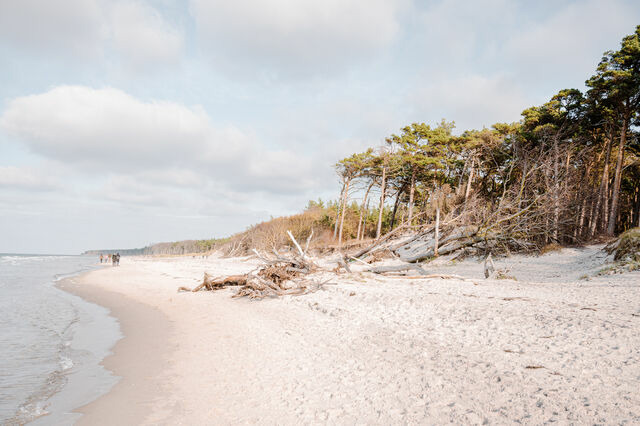 Ferienwohnung in Ahrenshoop - Strandblick 4 - Bild 8