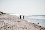 Ferienwohnung in Ahrenshoop - Strandblick 3 - Bild 10