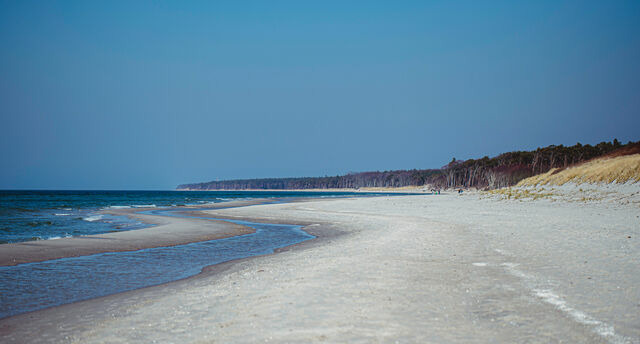 Ferienwohnung in Ahrenshoop - Strandmuschel 2 - Bild 9