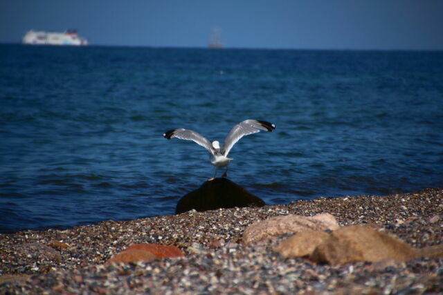 Ferienwohnung in B&ouml;rgerende-Rethwisch - Ferienwohnung Arne - Bild 18