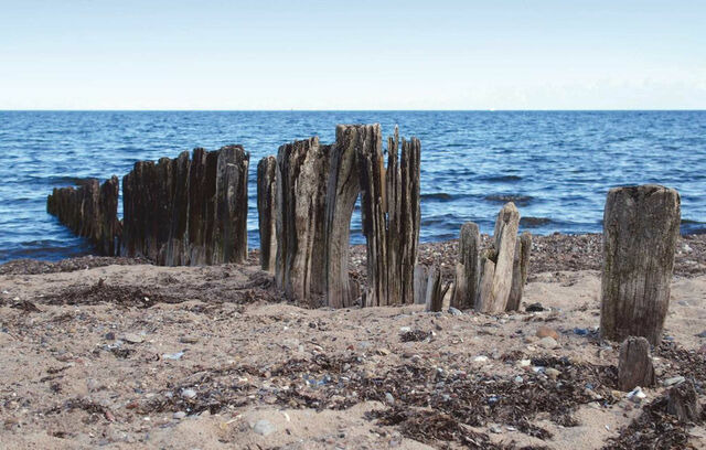 Ferienhaus in Heringsdorf - Seeadler 3 - S&uuml;ssau - Bild 13