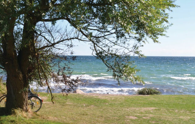 Ferienhaus in Heringsdorf - Seeadler 3 - S&uuml;ssau - Bild 16