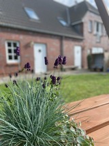 Ferienwohnung in Fehmarn OT Wulfen - Jutta vom Kutter - Bild 21