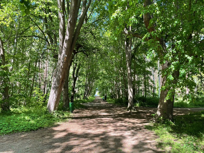 Ferienwohnung in K&uuml;hlungsborn - Ferienwohnung Yachthafen - Riviera Maison - Bild 24