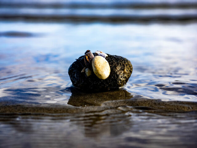 Ferienwohnung in Gl&uuml;cksburg - Ferienwohnung Winter - Bild 22
