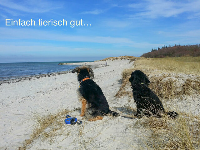 Ferienwohnung in Wendtorf - Ap. K&uuml;stenliebe - Haus Nordlichter - Bild 23