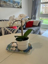 Ferienwohnung in Sch&ouml;nberger Strand - Petersen & Stoltenberg Wiesenweg GbR: App. "Wiesenpieper" - Bild 10