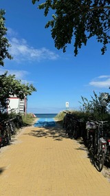 Ferienwohnung in Zingst - Villa Blau Wohnung 02/Appartment - Bild 25