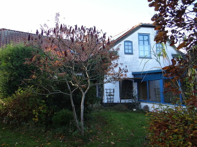 Ferienhaus in Ulsnis - Ferienhaus Alte Schmiede - Bild 14