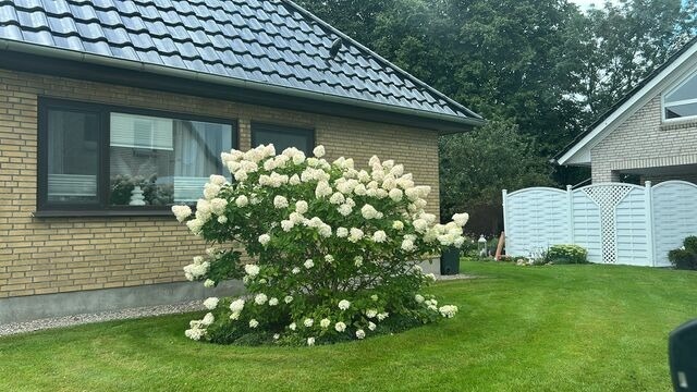 Ferienhaus in Rabenkirchen-Faul&uuml;ck - Ferienhaus Spatz - Bild 17