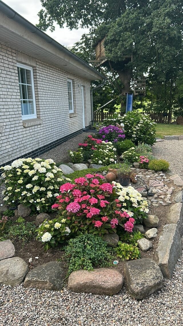 Ferienhaus in Rabenkirchen-Faul&uuml;ck - Ferienhaus Spatz - Bild 18