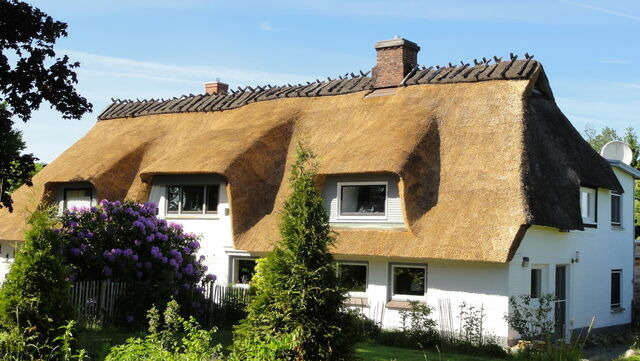Ferienwohnung in Gelting-Niesgrau - Ferienwohnung Hafenblick Ferienhof Geltinger Bucht - Bild 8