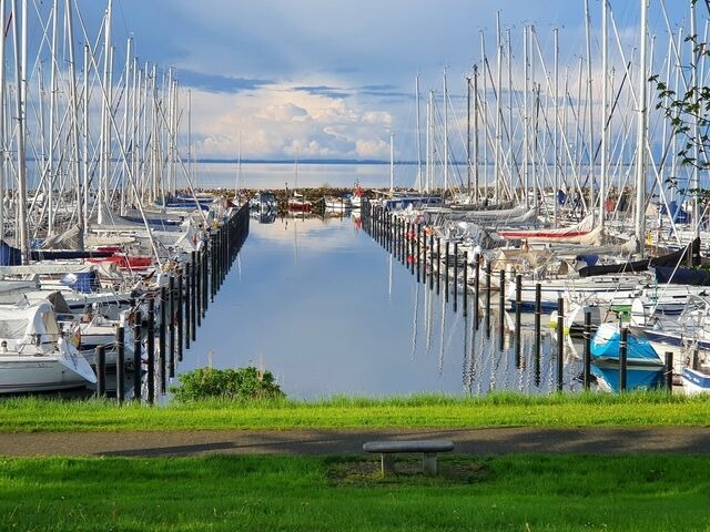 Ferienwohnung in Gelting-Niesgrau - Ferienwohnung Bambuswald Ferienhof Geltinger Bucht - Bild 23