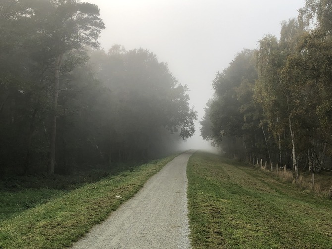 Ferienhaus in Fehmarn OT Gammendorf - Feriendomizil SeeSand 2 - ruhige Herbstatmosphäre