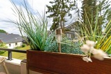Ferienwohnung in Grömitz - Strandgrün - Bild 12