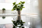 Ferienwohnung in Timmendorfer Strand - Haus Seepferdchen am Meer Appartement 6 - Bild 14