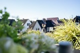 Ferienwohnung in Scharbeutz - Kleinaberfein - Bild 10