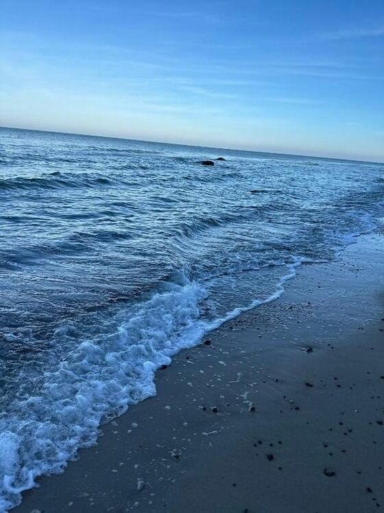 Ferienwohnung in Dranske - Kapit&auml;nskaj&uuml;te am Bakenberg- D21 - Bild 25